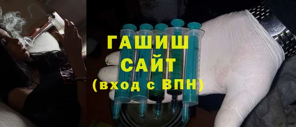 индика Бородино